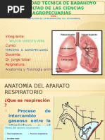 Exposicion Anatomia