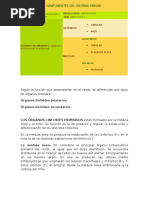 Componentes Del Sistema Inmune Primarios