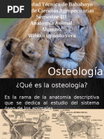  Osteologia Animal