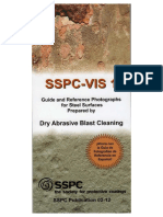 SSPC Vis1 PDF