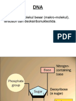 1struktur DNA