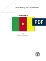 Cameroon PDF