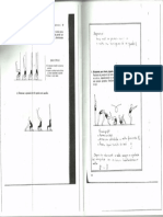 digitalizar0004.pdf