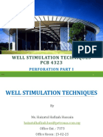 WST - Perforation Part 1