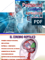 Cerebro Triuno Superaprendizaje