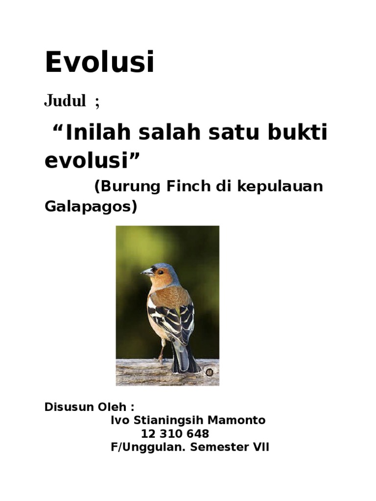 Tulisan Populer Bukti Evolusi