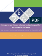 5Discapacidad_Visual.pdf