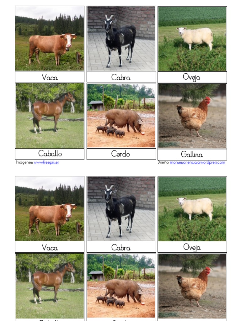 Representaciones gráficas de animales de granja y mascotas, PDF, Animales  domesticados