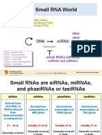 The Small RNA World: DNA Protein