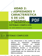 2.2. Organización de Los Sistemas Complejos