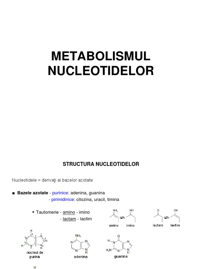 Metabolismul Nucleotidelor | PDF