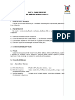 Anexo 5 - Pauta para Informe de Practica Profesional