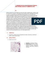 Aislamiento y Observacion de Enterobacterias