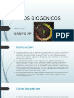 Diapo Ciclos Biogenicos