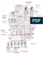 Cardiac Output Washed PDF