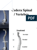 Cedera Spine Spinalcord PDF