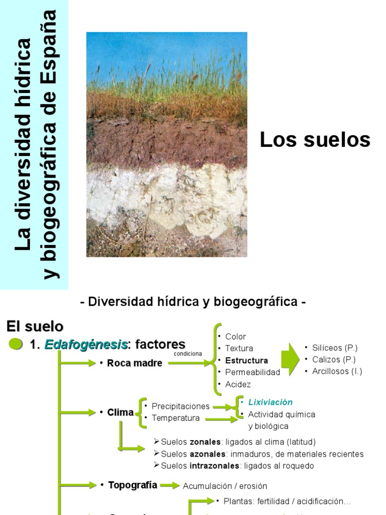 Lixiviacion en El Suelo PDF Suelo Earth Sciences