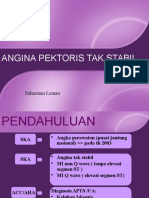 ANGINA PEKTORISKULUNST 2.pptx