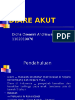 Dicha - Diare Akut Pada Anak