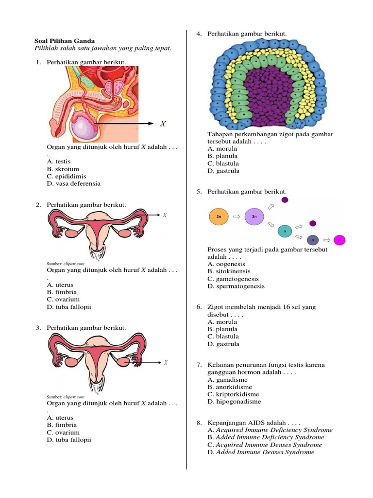 Soal Ulangan Harian Sistem Reproduksi Manusia i