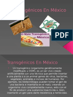 Transgénicos en México
