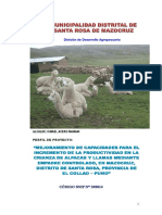Perfil de Alpaca.pdf