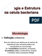 aula_morfologia_bacteriana.pdf