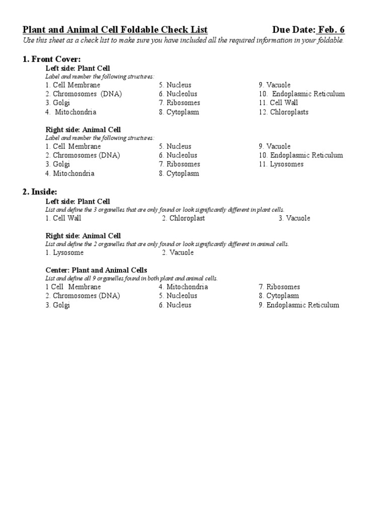 Plant and Animal Cell Foldable Guide | PDF