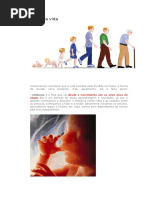 A Vida Humana Está Dividida Em Fases