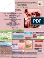 Historia Natural de Ebola PDF