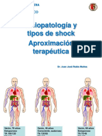 Shock Tipos y Tratamiento 2013