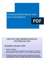 DNA REPAIR MECHANISM