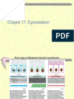 Molecular Bio Lecture 13