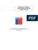 Intructivo caracterizacion riles ds 609.pdf