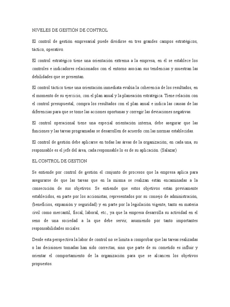 Niveles de Control en la Gestión Empresarial | PDF | Planificación ...