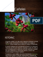 Istoria Cafelei