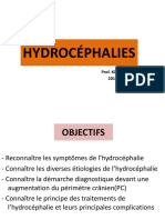 Hydrocéphalie PDF