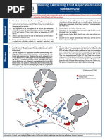 g200 Deicing PDF