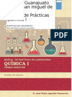 Guía Laboratorio Química I