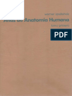 Atlas de anatomía humana, Tomo I - Werner Spalteholz.pdf