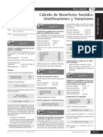 CALCULO DE BBSS, GRATIFICACIONES Y VACACIONES.pdf