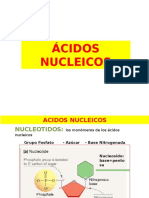 Biomolec 2 Acidos Nucleicos