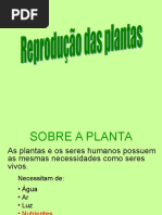 propagação vegetativa.ppt