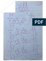 Cadena complementaria de ADN.pdf