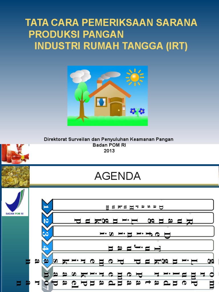 Pedoman Pemeriksaan Sarana Irtp 2013 | PDF