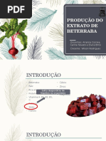 Produção de Extrato de Beterraba (1)
