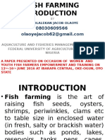 Fish Farming Production