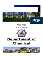 Department of Chemical Engineering: Physical and Chemical Processes