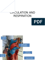 Circulation and Respiration