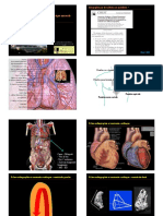 LM Echocardio Normale1 PDF